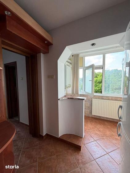 Apartament cu 3 camere decomandat în Copou