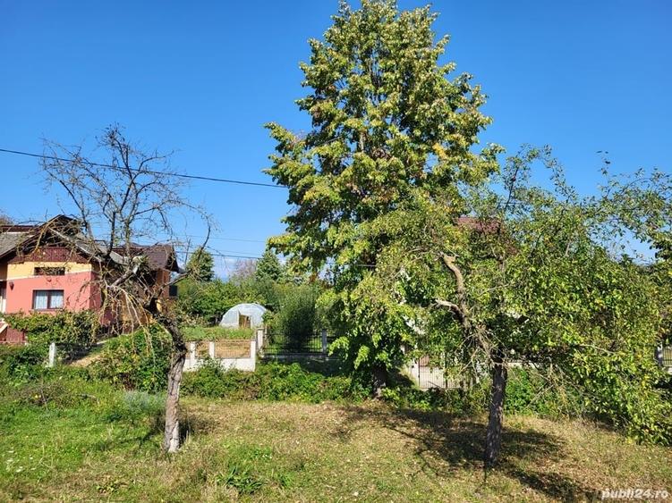 Teren de 4100 mp, în Remetea Chioarului