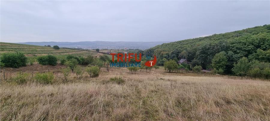 Teren Construcții intravilan de 1808 mp, în Cetate
