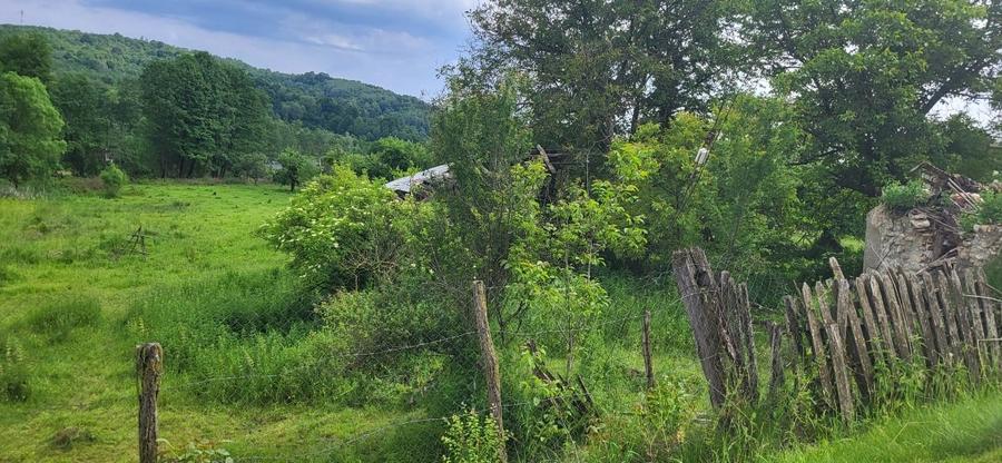 Teren Construcții intravilan de 2582 mp, în Bughea de Jos