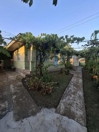 Casă cu Teren 2500 Mp în Gohor