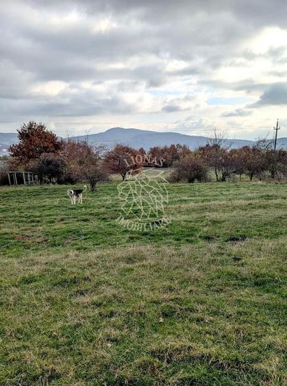 Teren Construcții intravilan de 800 mp, în Nord