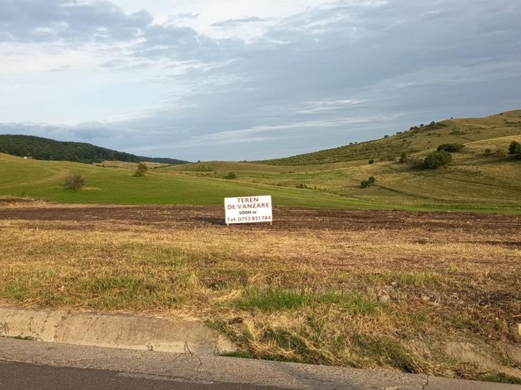 Teren construibil intravilan 5.000 mp parcelat in 2400mp + 2000mp cu drum- Piatra Neamt - 8