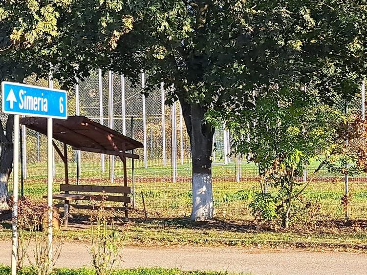 Teren de 7526 mp, în Băcia