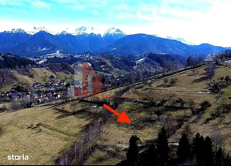 Spațiu comercial, în Moieciu