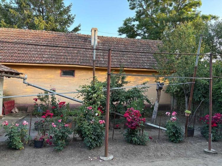 Casa de vanzare in Semlac - Pret avantajos - 15