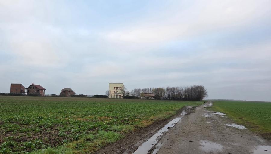 Teren Construcții intravilan de 76622 mp, în Frumușani