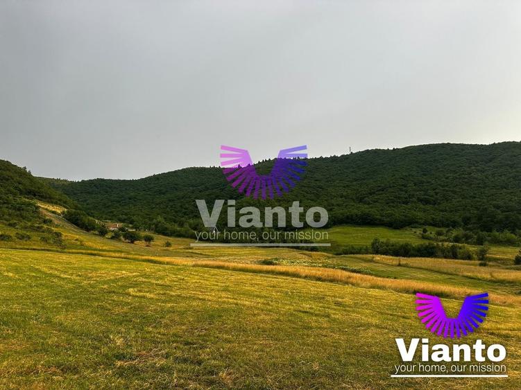 Teren agricol extravilan de 3408 mp, în Gura Râului