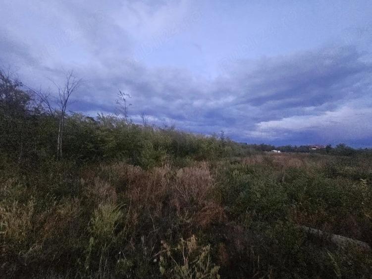Teren de 500 mp, în Dămăroaia