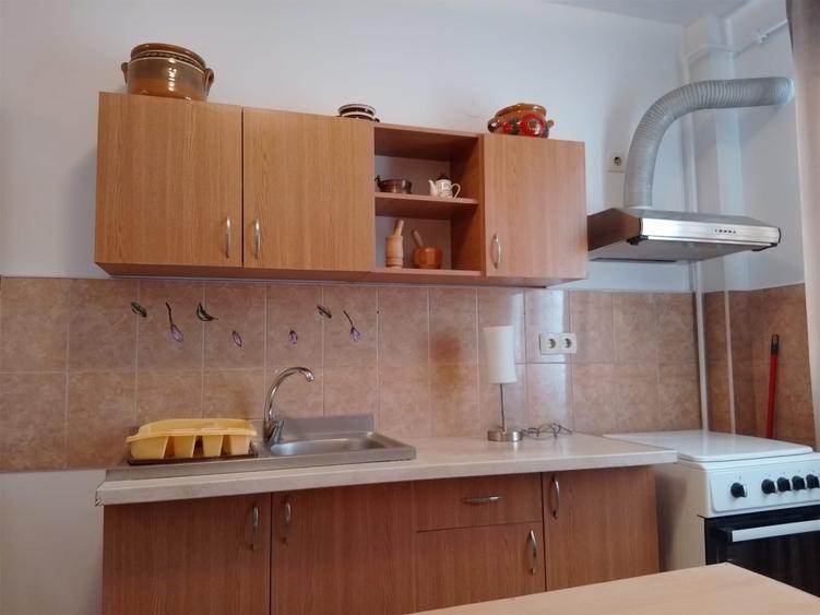 Apartament cu 2 camere decomandat în Turnișor