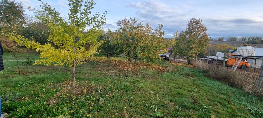 Teren Construcții intravilan de 3209 mp, în Curtești