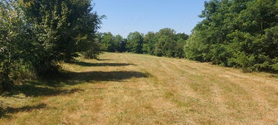 Teren de 3088 mp, în Vânăta