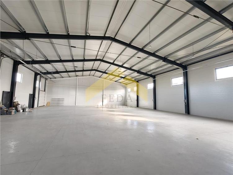 Spațiu industrial, de 500 mp, în Micălaca