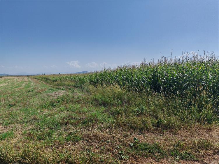 Teren agricol sau zona agrement HALCHIU - langa Lacuri si Balastiera - 1