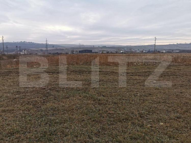 Teren de 5900 mp, în Pătrăuți