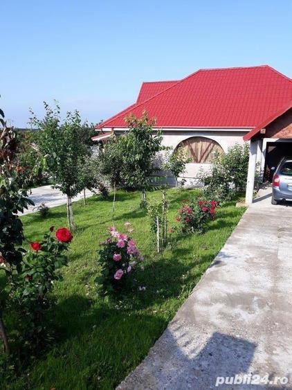 Casă cu 6 camere cu Teren 1997 Mp în Homocea