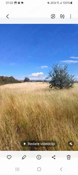 Teren de 10000 mp, în Berceni