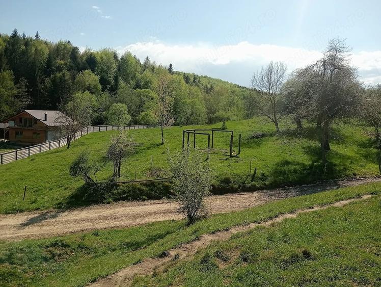Teren de 1800 mp, în Varvata
