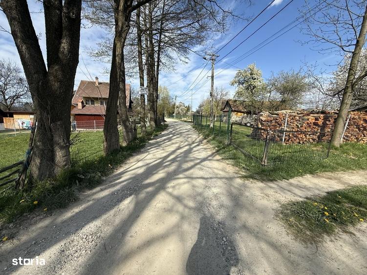 Spațiu comercial, în Bran