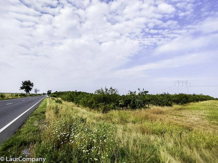 Parcele Teren extravilan Livada si Pasune Lunca Corbului Arges - 5