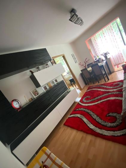 Apartament cu 2 camere nedecomandat în Mureșeni