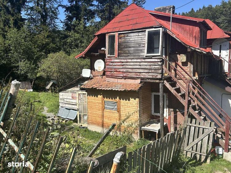 Casa Bunicilor - 2