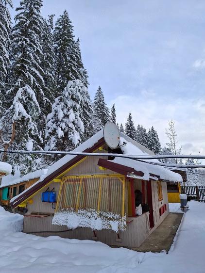 Casă în Stulpicani