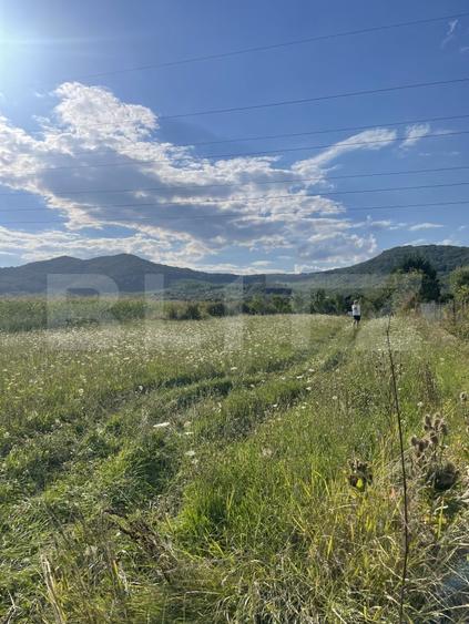 Teren Construcții intravilan de 1000 mp, în Viișoara