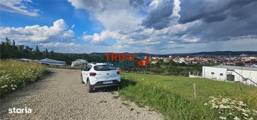 Spațiu comercial, în Cetate