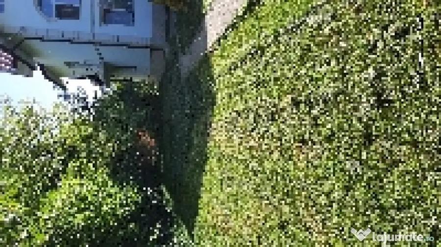 Casă cu 3 camere cu Teren 100 Mp în Central
