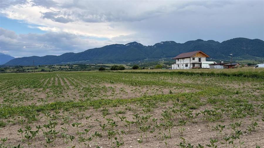 Teren agricol intravilan de 1968 mp, în Central