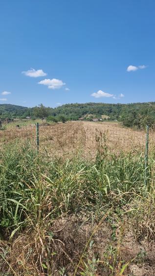 Teren Construcții intravilan de 5236 mp, în Mihăești