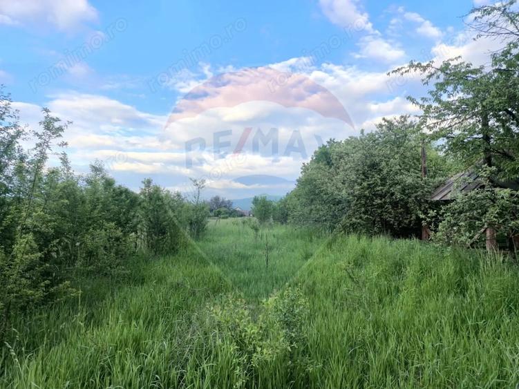 Casă cu 7 camere cu Teren 3650 Mp în Central