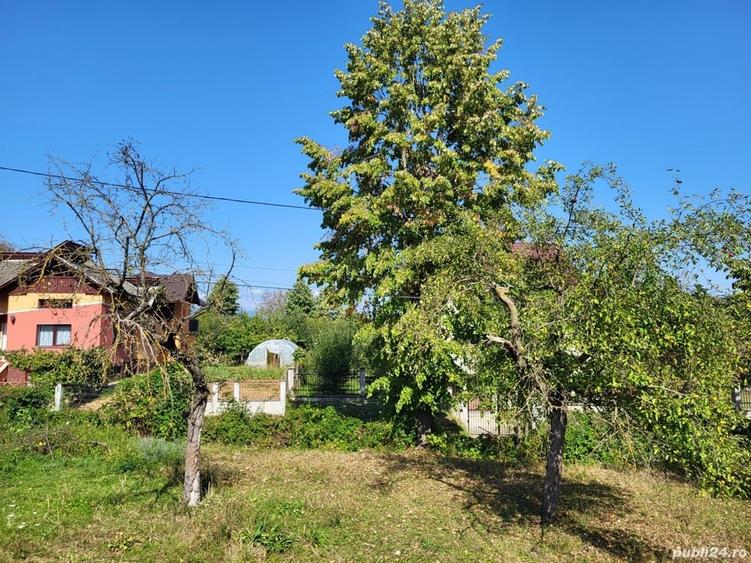 Teren de 4100 mp, în Remetea Chioarului