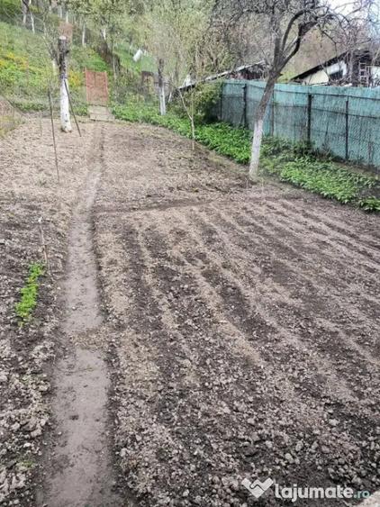 Vand casa la Nadrag zona linistita foarte aproape de centru - 3