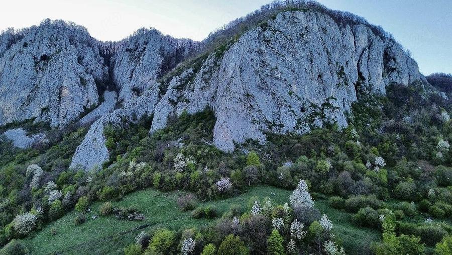 Teren de 25000 mp, în Vulcan