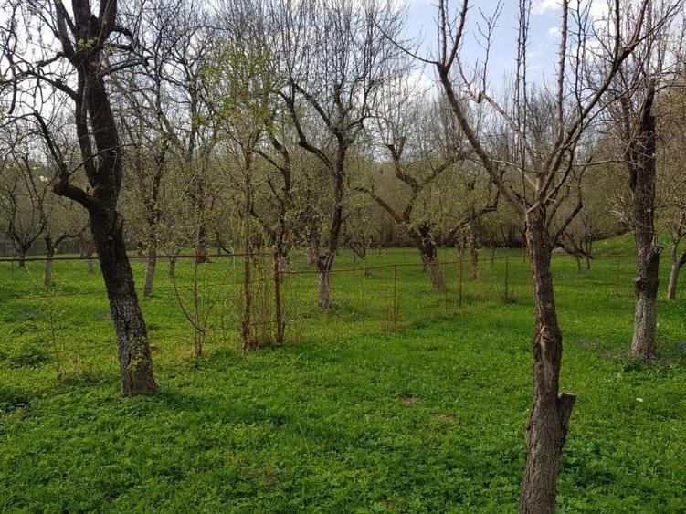 Casă individuală cu 2 camere cu Teren 7000 Mp în Runcu