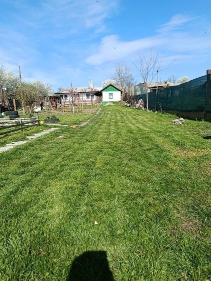 Casă cu 3 camere în Central