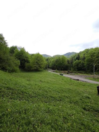 Teren de 3746 mp, în Lepșa