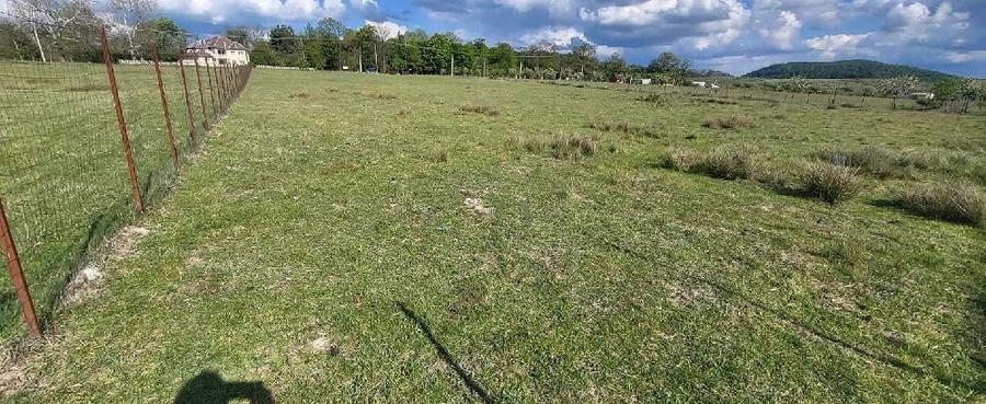 Teren de 5000 mp, în Central