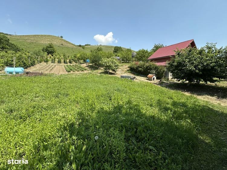 Cabana DE VANZARE In sat Bobohalma - 5