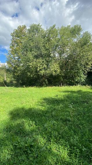 Teren de 4000 mp, în Beznea