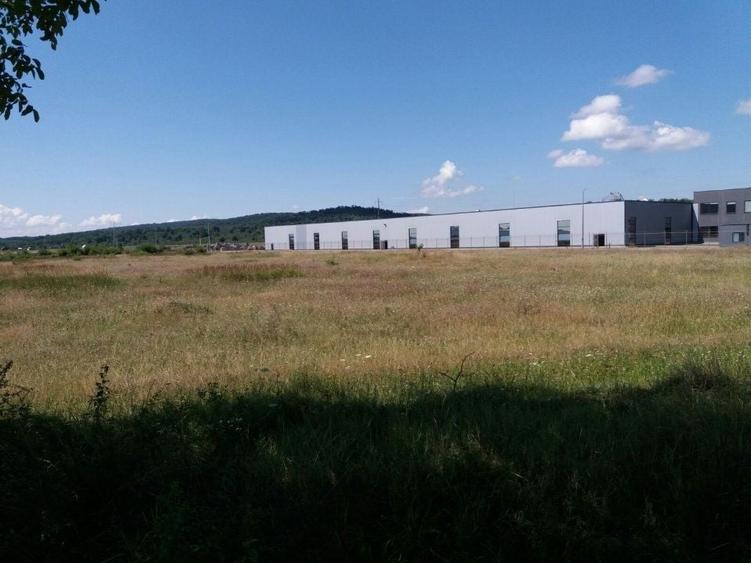 Teren Construcții extravilan de 43000 mp, în Glodeni