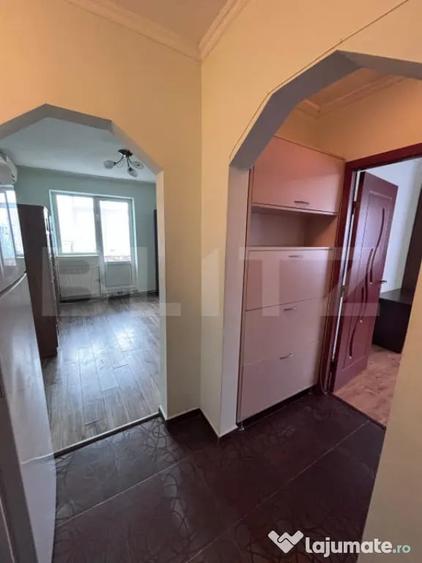 Apartament 2 camere, 45 mp, zona Alexandru cel Bun - 7