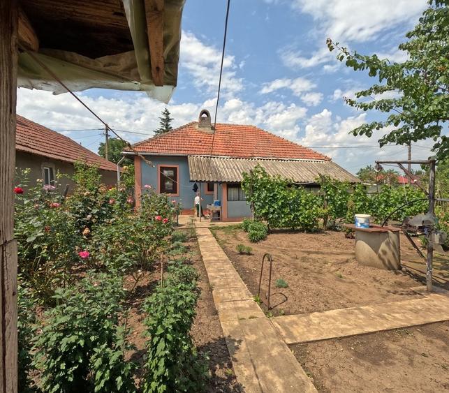 Casă cu 4 camere în Mogoșoaia