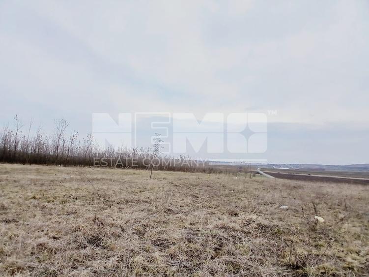 Teren Construcții intravilan de 6000 mp, în Cumpărătura