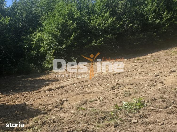 Teren Valea Doftanei, zona Pe Vale - Baraj Paltinu - 10
