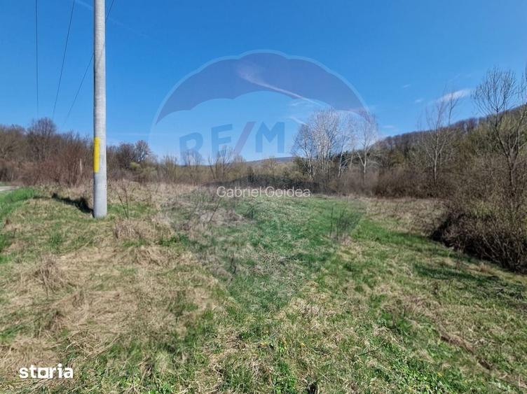 Teren Podi? / Calea Moinesti