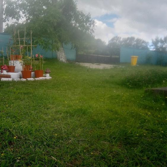 Casă cu Teren 1450 Mp în Baia de Criș