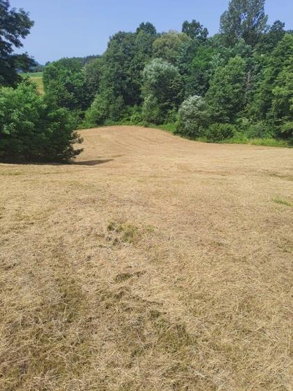 Teren agricol intravilan de 60000 mp, în Copalnic-Mănăștur